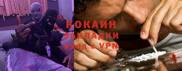 гидра Алексеевка