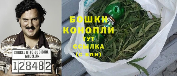 гидра Алексеевка
