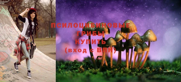 гидра Алексеевка