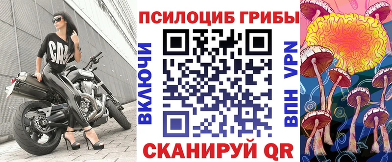 Галлюциногенные грибы мицелий как найти наркотики KRAKEN сайт Шацк