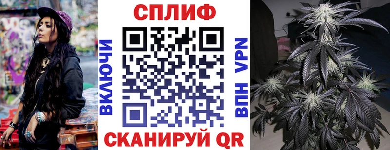 площадка наркотические препараты  Шацк  Бошки марихуана планчик  OMG  